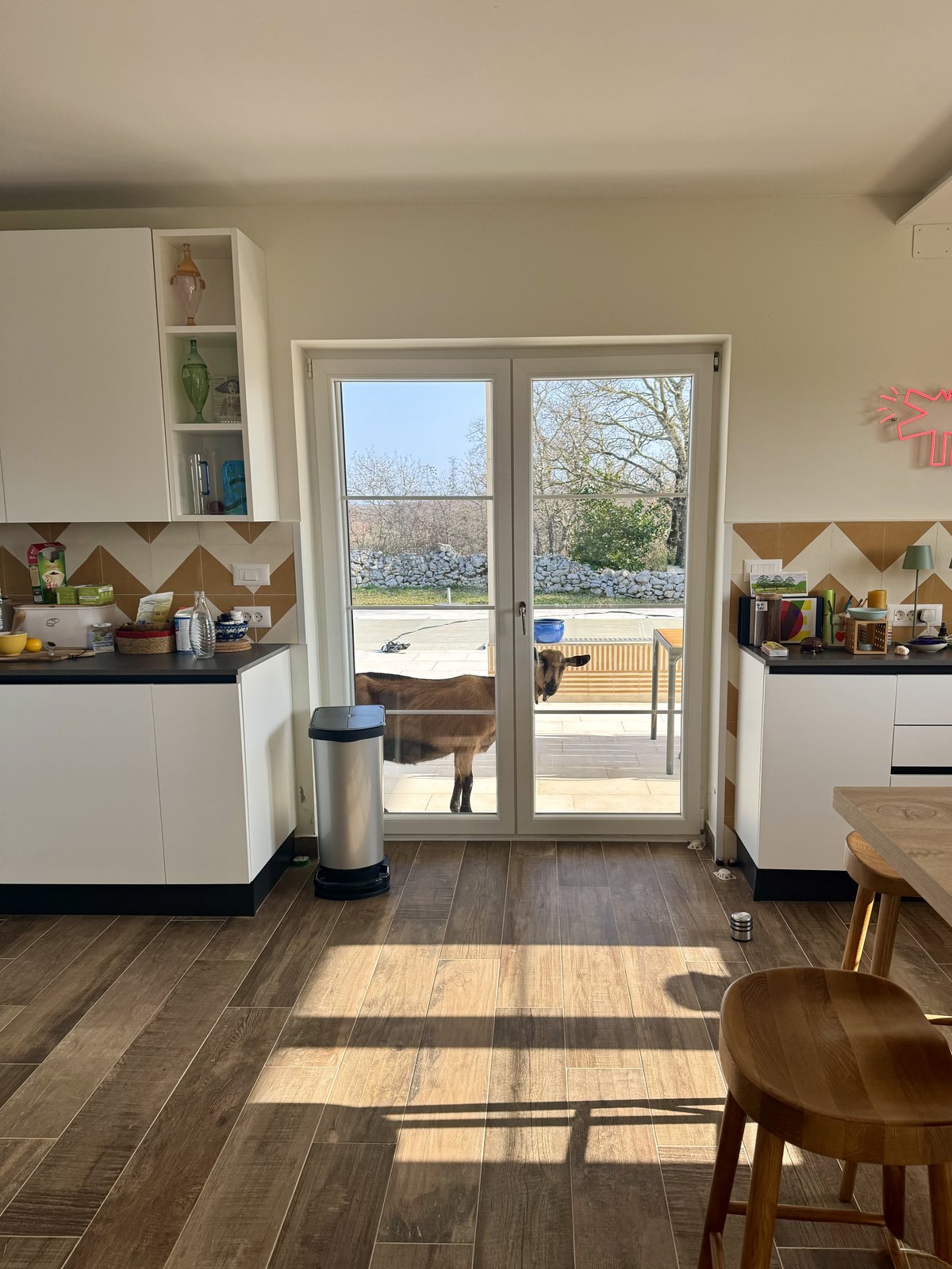 The kitchen, with a goat looking in at the terrace door